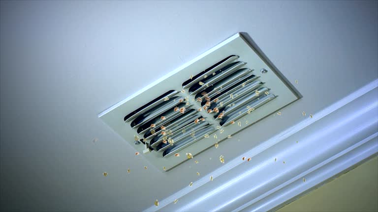Best Best Air Duct Cleaning Company  in Jekyll Island, GA