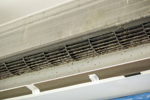 Best Commercial HVAC Duct Cleaning  in Jekyll Island, GA